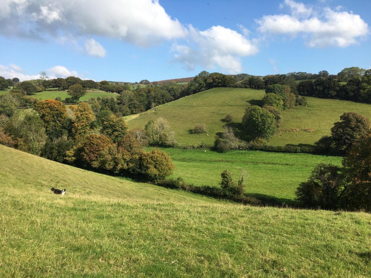 Cookshayes Country Guest House Moretonhampstead Exterior foto